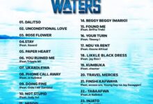 T Sean - Rose Flower Mp3 Download