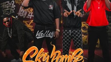 Y Cool ft Shokii Mwana Chibolya, Dreckzine & Trendy Kidai - Sky Pombe Mp3 Download